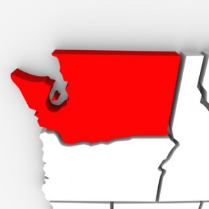 Washington State Red Abstract State map